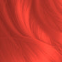 anitaculinary23